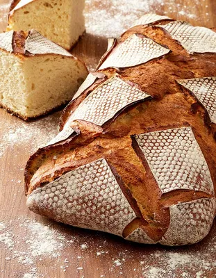 Préparation à base de farine de blé et de levain de blé dur O-tentic Selezione Pugliese